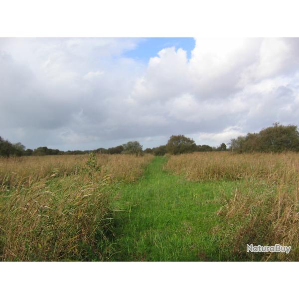 Marais tourbeux sur 6 ha avec �tangs, huttes, parties bois�es et plati�res (Nord Pas de Calais 59 62