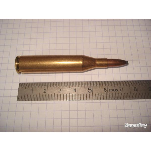 une cartouche de 5,6X61 SE Vom Hofe pour collection ogive demi blind�e