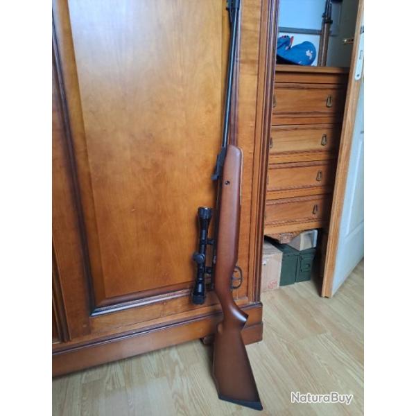 Carabine a plomb crosman+lunette