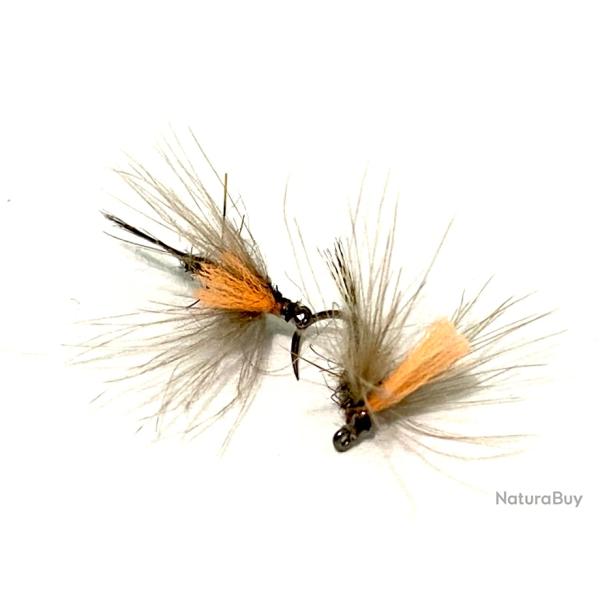 mouche sche mergente cdc h16