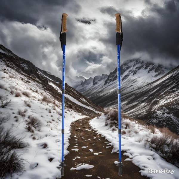 2 B�TONS DE MARCHE NORDIQUE RANDONN�E ENERGIA WOOD ALUMIN 3 STEP BLUE RESSORT ANTI-CHOC
