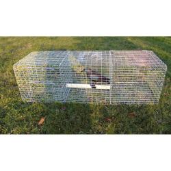 Pi&egrave;ge &agrave; oiseaux, 3 compartiments - BOXTRAP