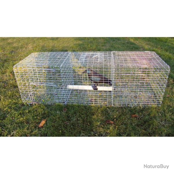 Pi�ge � oiseaux, 3 compartiments - BOXTRAP
