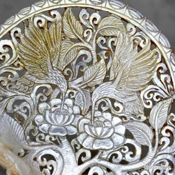 Nacre -Oiseaux de Paradis - Pinctada Maxima