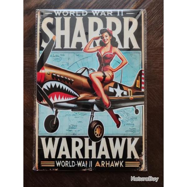 PLAQUE METAL WWII "WARHAWK"