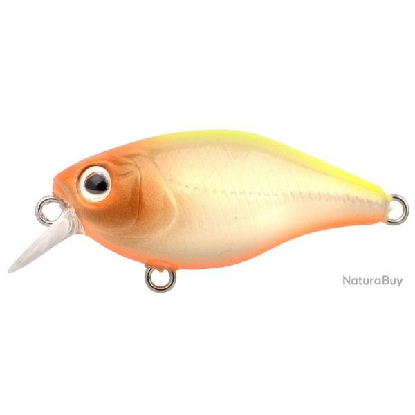 Poisson Nageur Spro Ikiru Mini Crank 38F SL SH N Chart Back