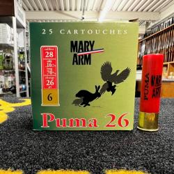 Mary Arm STEEL 20 BJ 28x70 (x25) n&deg;5+6
