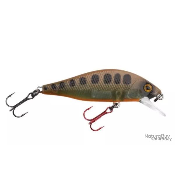 Poisson Nageur Spro Ikiru Flat Jerk 50 FS Season Varion