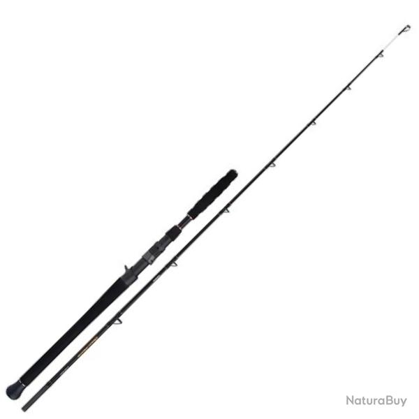 Canne Casting Shimano Beastmaster AX Catfish Vertical 2 Max 200 g 1m85 275g