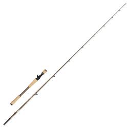 Canne Casting Abu Garcia Beast Pro 2 Live 40 - 100g 160g 1+1 2m24