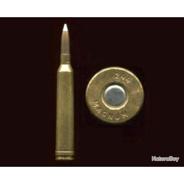.244 Holland & Holland Belted Magnum - balle cuivre pointue - �tui laiton de 70.6 mm