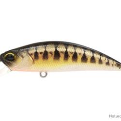 Leurre dur truite DUO ryuki spearhead 50F vairon UV