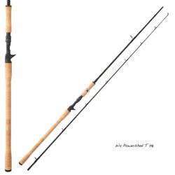 Canne Casting Westin W4 powershad T 2m18 50-150g 2 199g