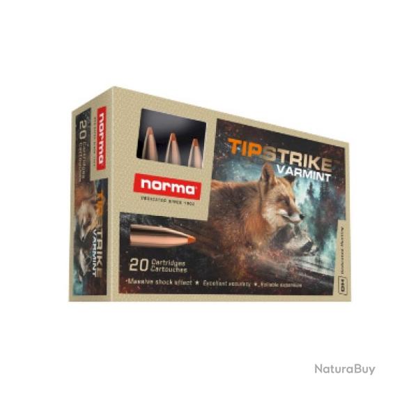 Munitions NORMA tipstrike varmint cal.243win 76gr 4.9g par 20