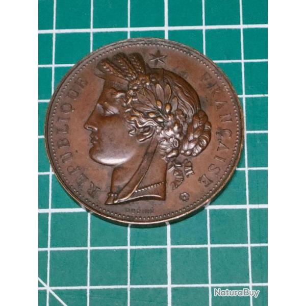 MEDAILLE DE LA REPUBLIQUE, NON GRAVEE, BRONZE