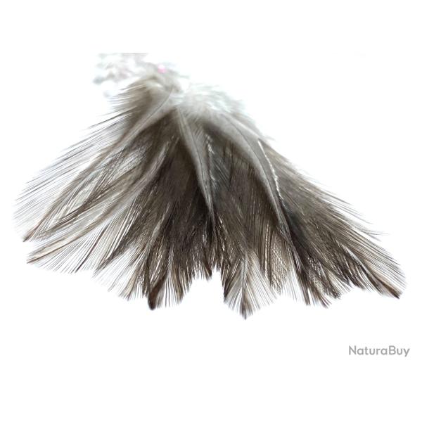 Plumes de Coq Pardo-gris pardo
