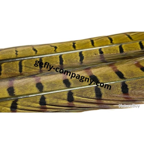 plume de faisant veniard olive mdium