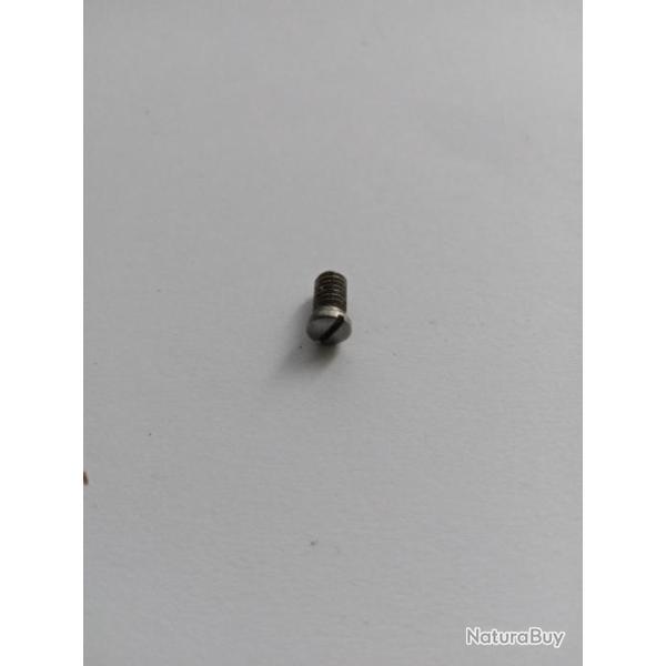 Vis de pontet 1858 pietta