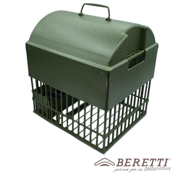 Toit en d�me pour le merle noir