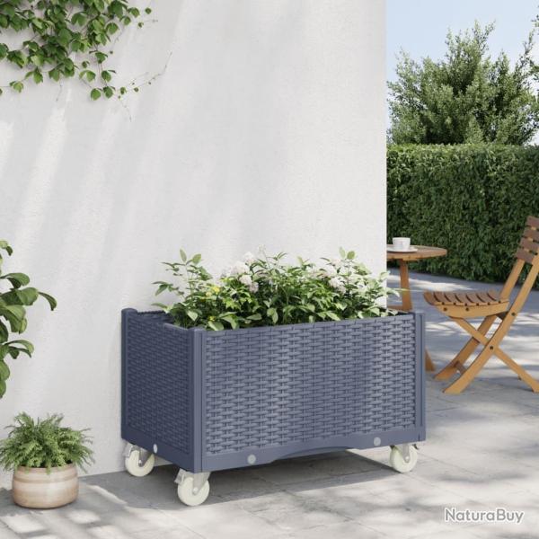 Jardinire  roulettes bleu gris 80x50x54 cm PP alsavelo