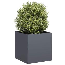 Jardini&egrave;re anthracite 40x40x40 cm acier lamin&eacute; &agrave; froid