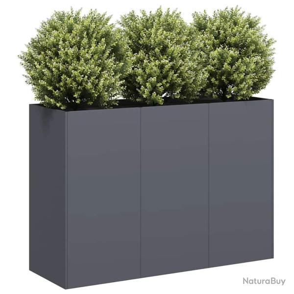Jardini�re anthracite 120x40x80 cm acier lamin� � froid