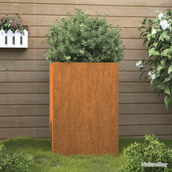 Jardinire 52x48x75 cm acier corten alsavelo