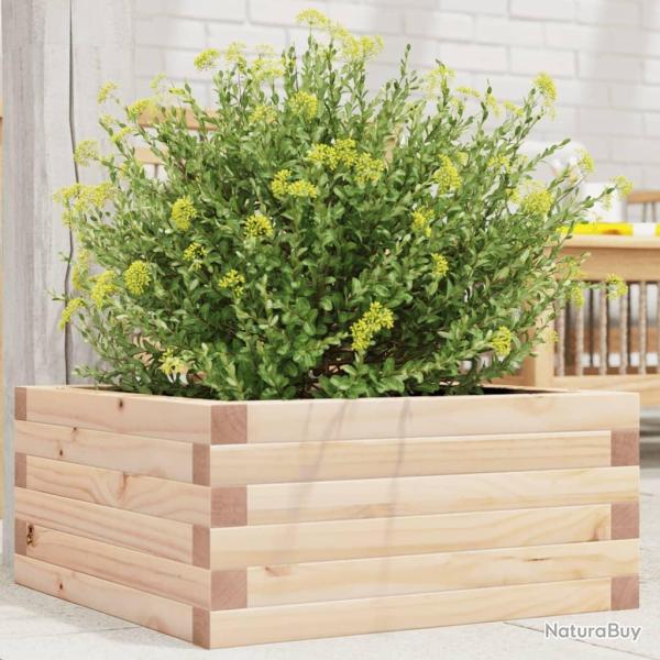 Jardinire 50x50x23 cm bois de pin massif alsavelo