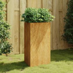 Jardini&egrave;re 50x43x75 cm acier corten alsavelo