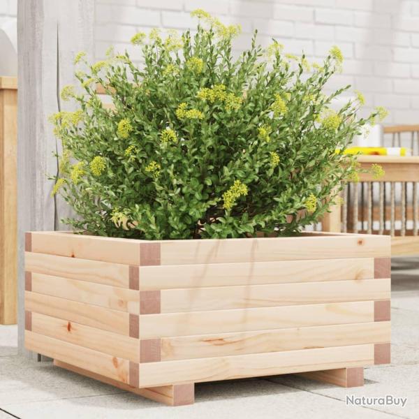 Jardinire 50x50x26,5 cm bois de pin massif alsavelo
