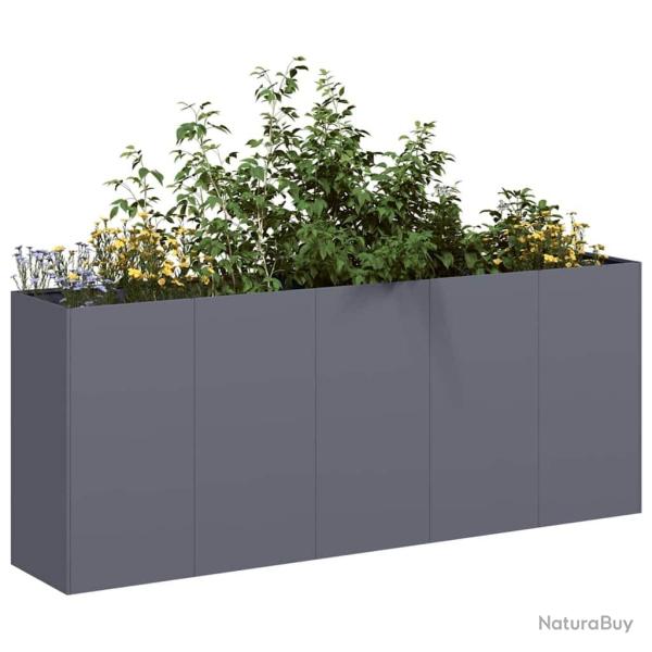 Jardini�re anthracite 200x40x80 cm acier lamin� � froid