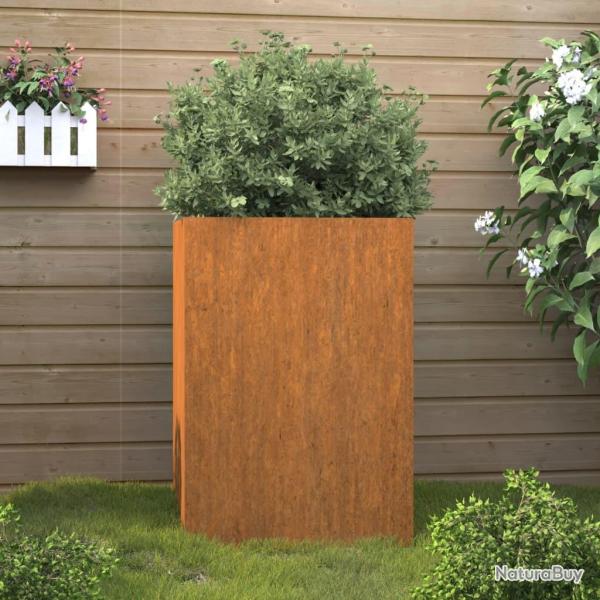 Jardinire 42x38x75 cm acier corten alsavelo