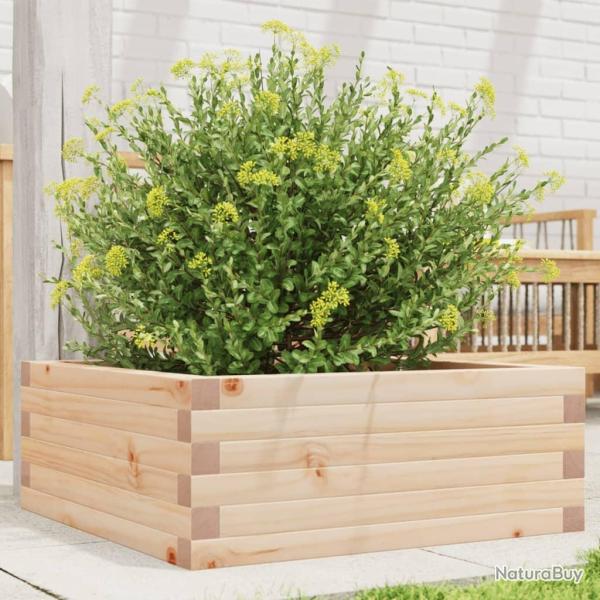 Jardinire 60x60x23 cm bois de pin massif alsavelo