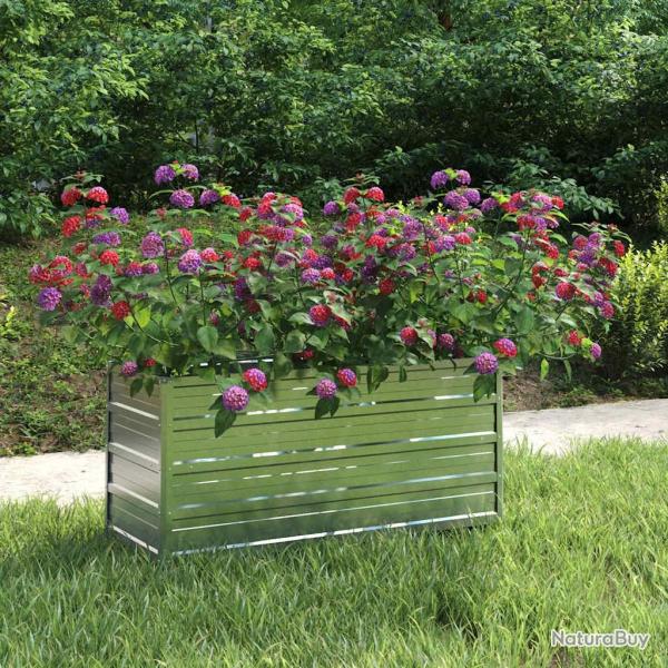 Lit sur�lev� de jardin 100x40x45 cm Acier galvanis� Argent�