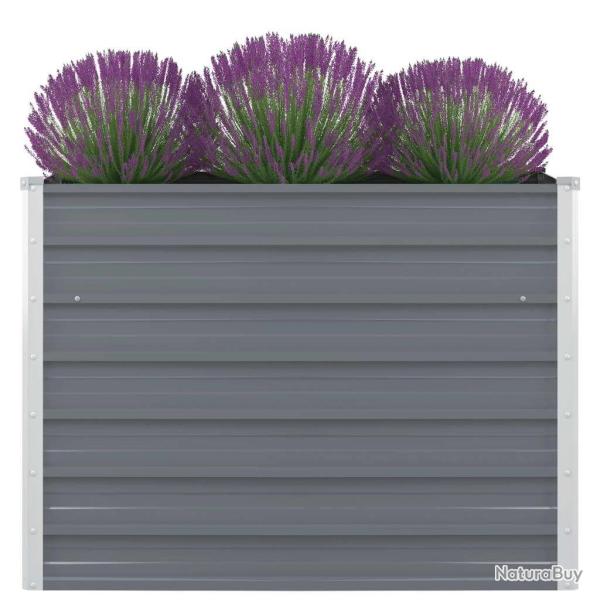 Jardini�re 100x100x77 cm Acier galvanis� Gris