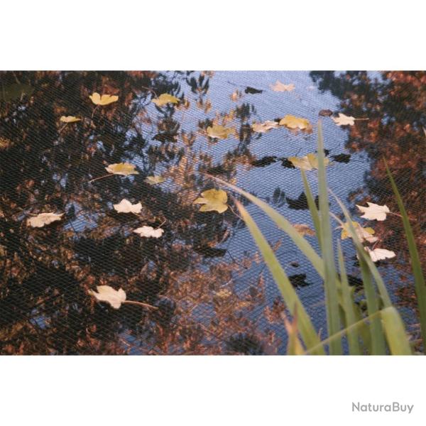 Filet de couverture d'�tang PE 3x2 m alsavelo