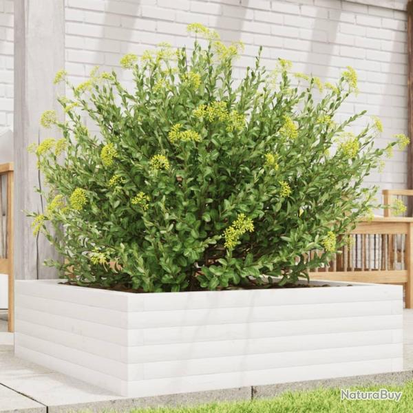 Jardini�re blanc 80x80x23 cm bois de pin massif