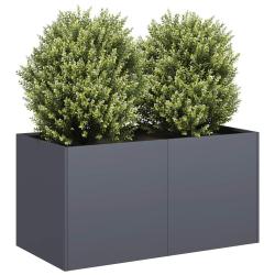 Jardini&egrave;re anthracite 80x40x40 cm acier lamin&eacute; &agrave; froid