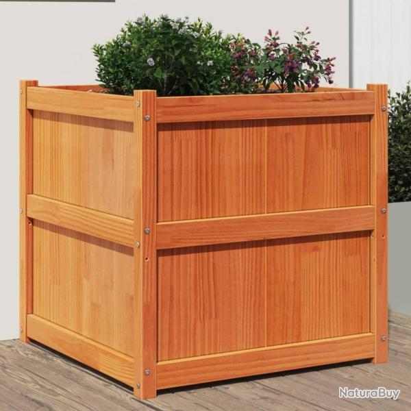 Jardinire cire marron 70x70x70 cm bois de pin massif alsavelo