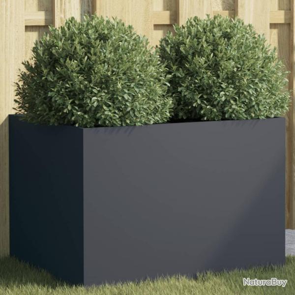 Jardini�re anthracite 62x47x46 cm acier