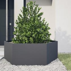 Jardini&egrave;re anthracite hexagone 138x120x45 cm acier