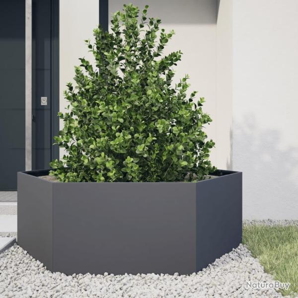 Jardinire anthracite hexagone 138x120x45 cm acier alsavelo