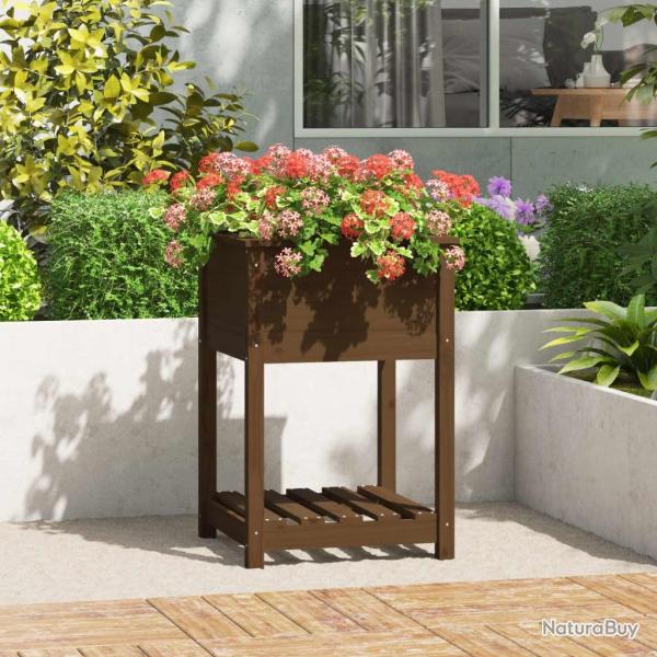 Jardinire avec tagre Marron miel 54x54x81 cm Bois de pin alsavelo