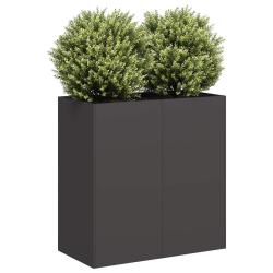 Jardini&egrave;re noir 80x40x80 cm acier lamin&eacute; &agrave; froid