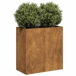 Jardini&egrave;re rouill&eacute; 80x40x80 cm acier inoxydable