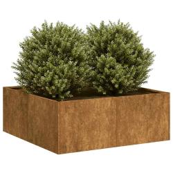 Jardini&egrave;re rouill&eacute; 80x80x30 cm acier inoxydable