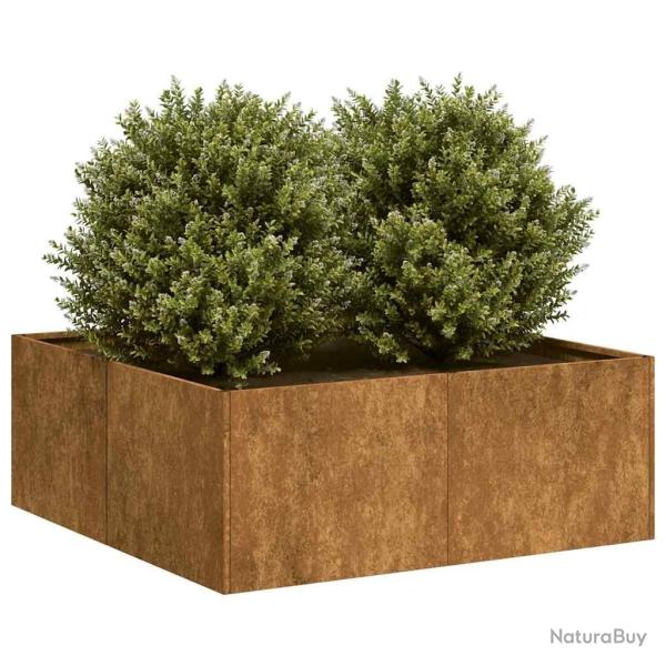 Jardinire rouill 80x80x30 cm acier inoxydable alsavelo