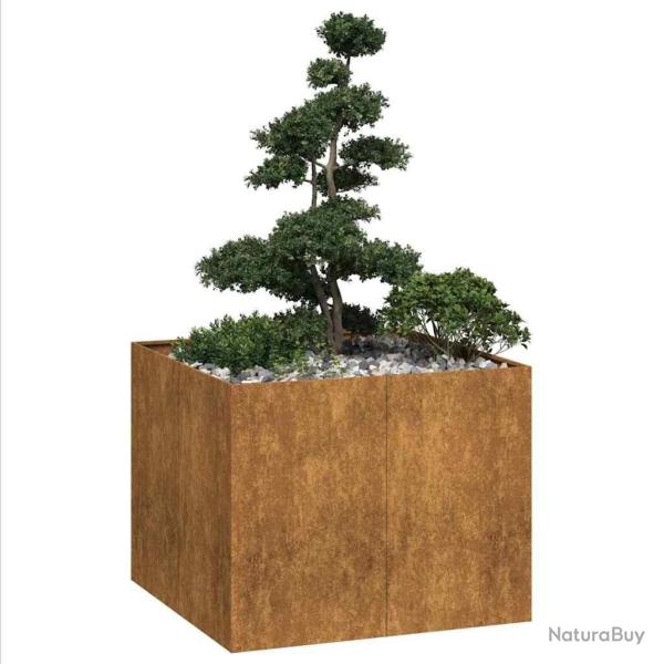 Jardini�re rouill� 100x100x80 cm acier inoxydable