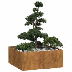 Jardini&egrave;re rouill&eacute; 100x100x40 cm acier inoxydable