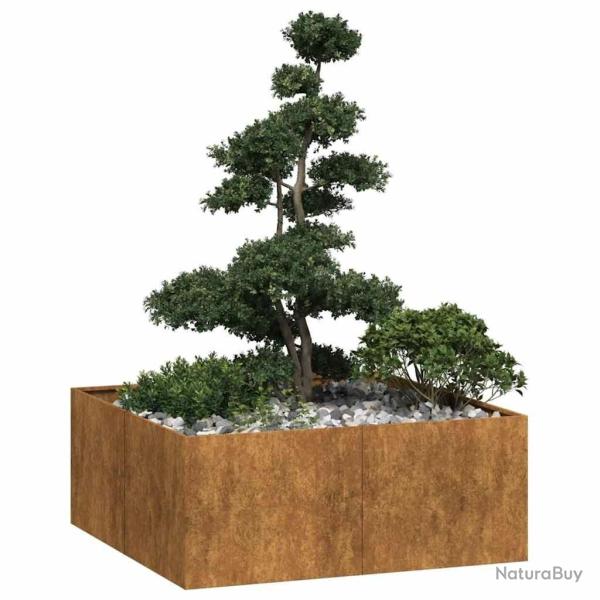 Jardini�re rouill� 100x100x40 cm acier inoxydable